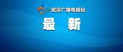 武汉爆料最新新闻报道,聚焦城市动态与民生焦点  第3张